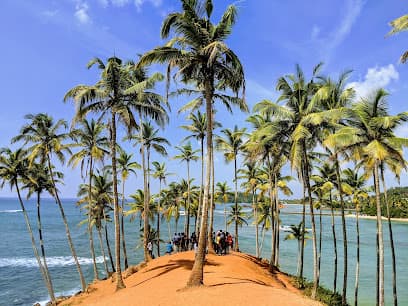 Coconut Tree Hill